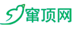 窜顶网